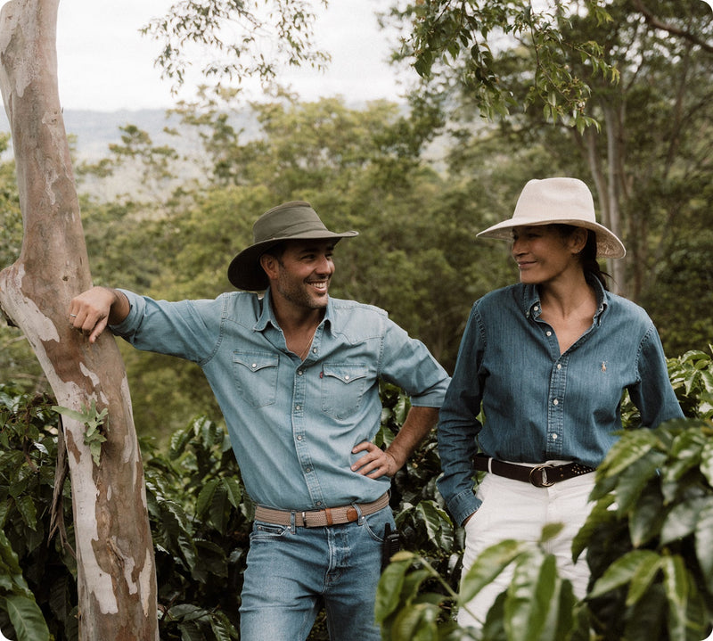 Cultivos en Boyacá: por qué es un café naturalmente dulce